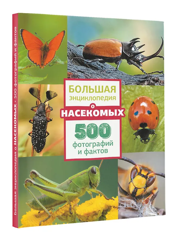 Книга Большая энциклопедия о насекомых. 500 фотографий и фактов (Анна Спектор) — 5