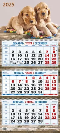 Календарь квартальный 2025г 310*680 "ДВА ЩЕНКА" настенный, трёхблочный, спираль — 3053930 — 1