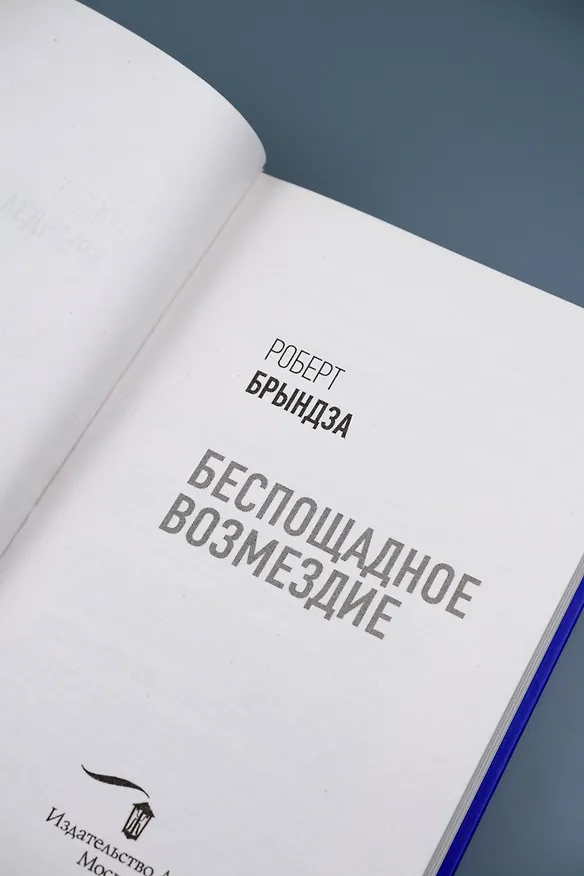 Книга Беспощадное возмездие (Роберт Брындза) — 14