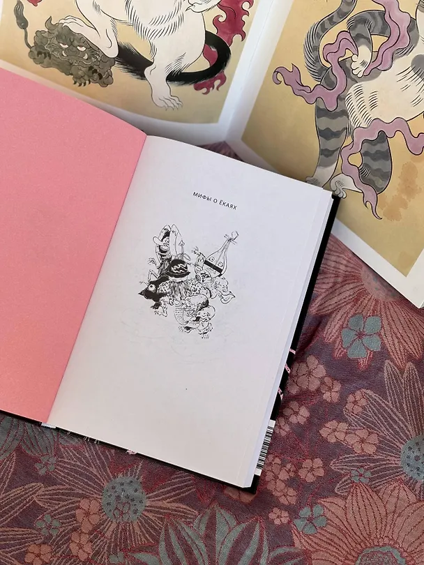 Книга Мифы о ёкаях. От водяных гоблинов и снежной женщины до ямамба и тануки (Майкл Фостер) — 12