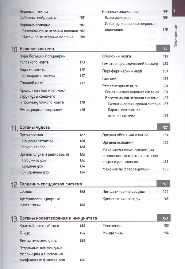 Книга Гистология в схемах и таблицах: учебное пособие. (Андрей Гунин) — 4