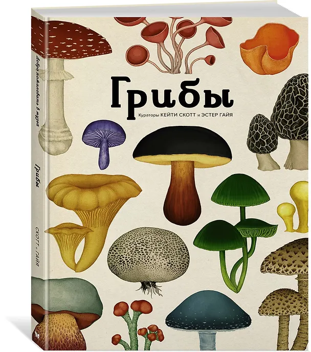 Книга Грибы (Дэвид Л. Хауксворт, Лора М. Сьюз, Пепейн В. Кой, Каре Лиматайнен) — 2