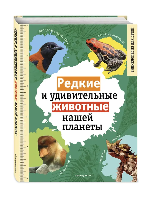 Книга Редкие и удивительные животные нашей планеты. Энциклопедия для детей (Василий Климов) — 5