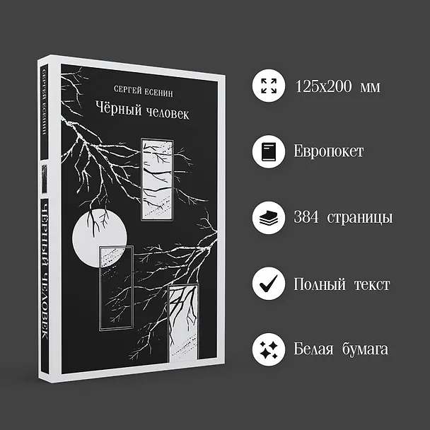 Книга Чёрный человек (Сергей Есенин) — 8