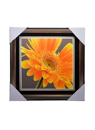 Картина Желтая гербера (31х31) (831919) 2422910