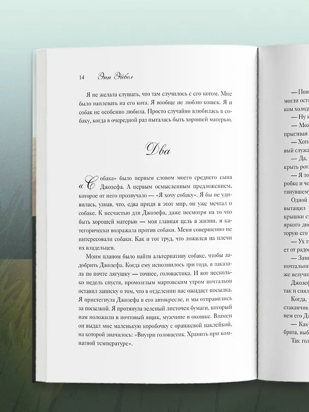 Книга Мэтти, Майло и я. История о любви, утрате и том, как собаки помогают нам жить (Энн Эйбел) — 9