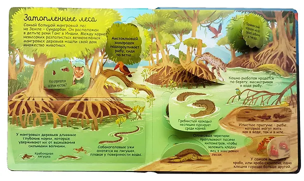 Книга Секреты морей и океанов (Меган Каллис) — 4