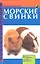 Морские свинки. Породы. Содержание и уход. Кормление. Разведение. — 2313090 — 2