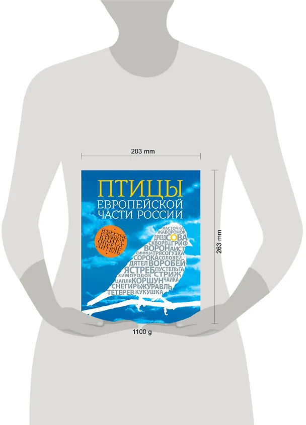 Книга Птицы европейской части России / 2- изд. (Василий Вишневский) — 4