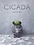Cicada (Shaun Tan) — 3022161 — 1