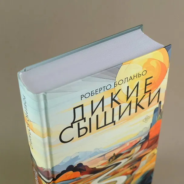 Книга Дикие сыщики (Роберто Боланьо) — 10