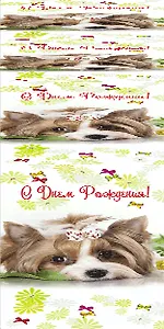 Открытка серии 3D карман для денег С днем Рождения [3D221-0017]