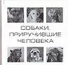 Собаки, приручившие человека
