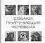 Собаки, приручившие человека — 2146632 — 1