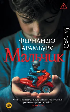 Книга Мальчик (Фернандо Арамбуру)