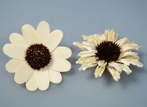 Природный декор, Астра (2шт*7см) блистер