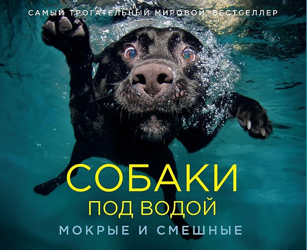 Книга Собаки под водой. Мокрые и смешные (Сет Кастил) — 1