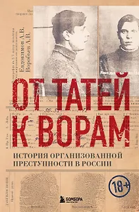 От татей к ворам: история организованной преступности в России