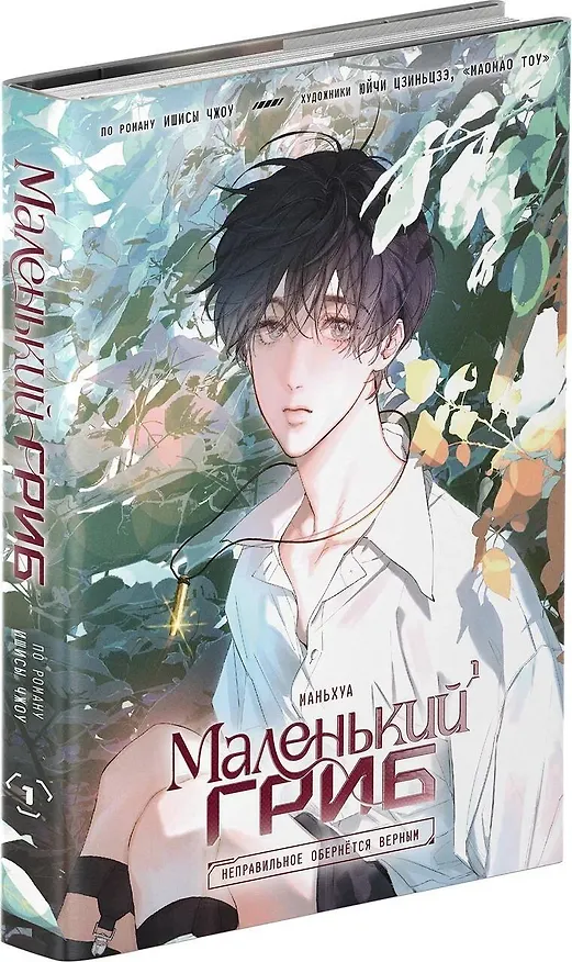 Маленький гриб. Том 1 (Little Mushroom). Маньхуа 3136427 — 5