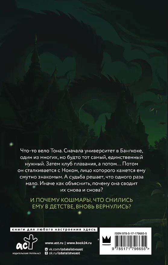 Книга Дитя Меконга (Дана Брайт) — 2