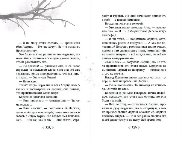 Книга Магия в сердце (Лора Себастьян) — 12