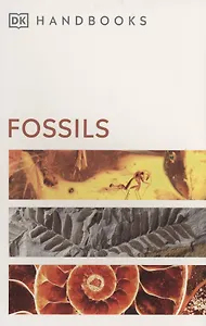 Fossils