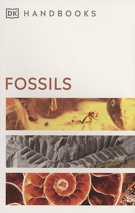 Fossils — 2891100 — 1