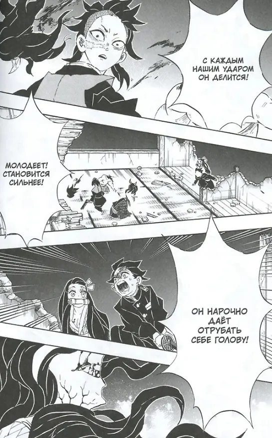 Истребитель демонов. Том 13 (Клинок, рассекающий демонов / Demon Slayer: Kimetsu no Yaiba). Манга 3025618 — 4