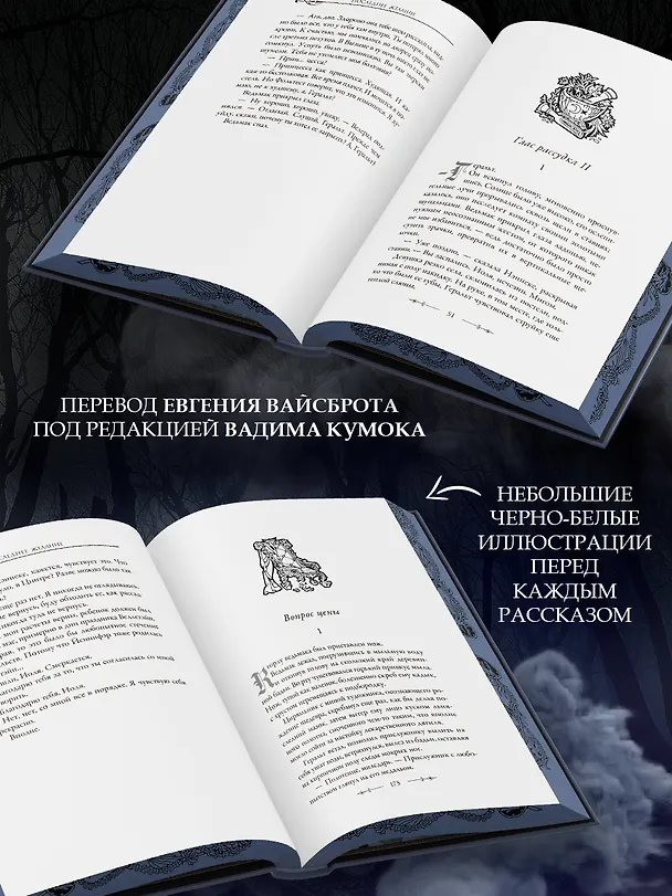 Книга Последнее желание (Анджей Сапковский) — 7