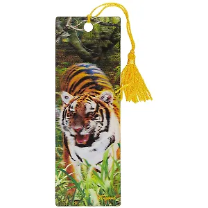 3D-закладка «Тигр», 5 х 15 см