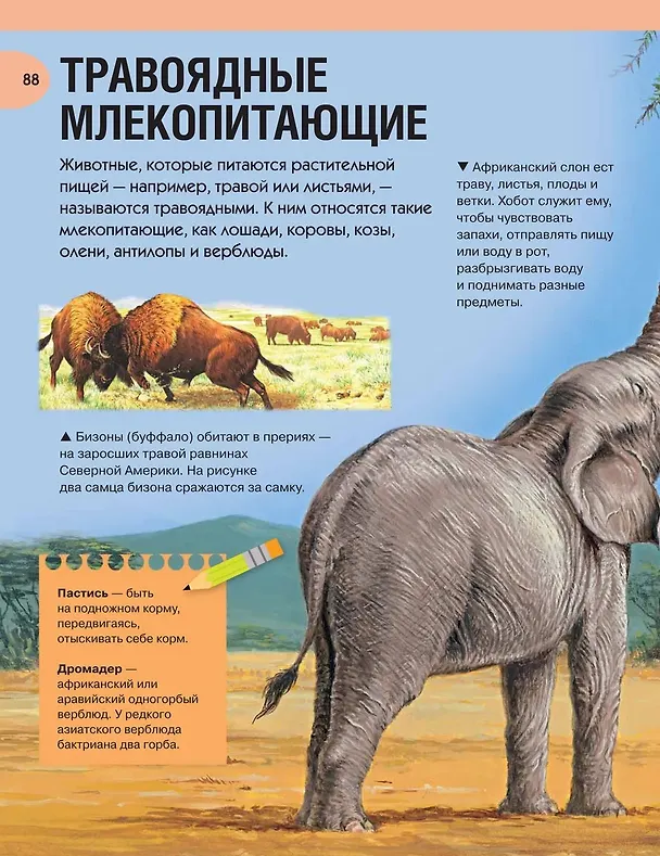 Книга Большая энциклопедия знаний () — 9