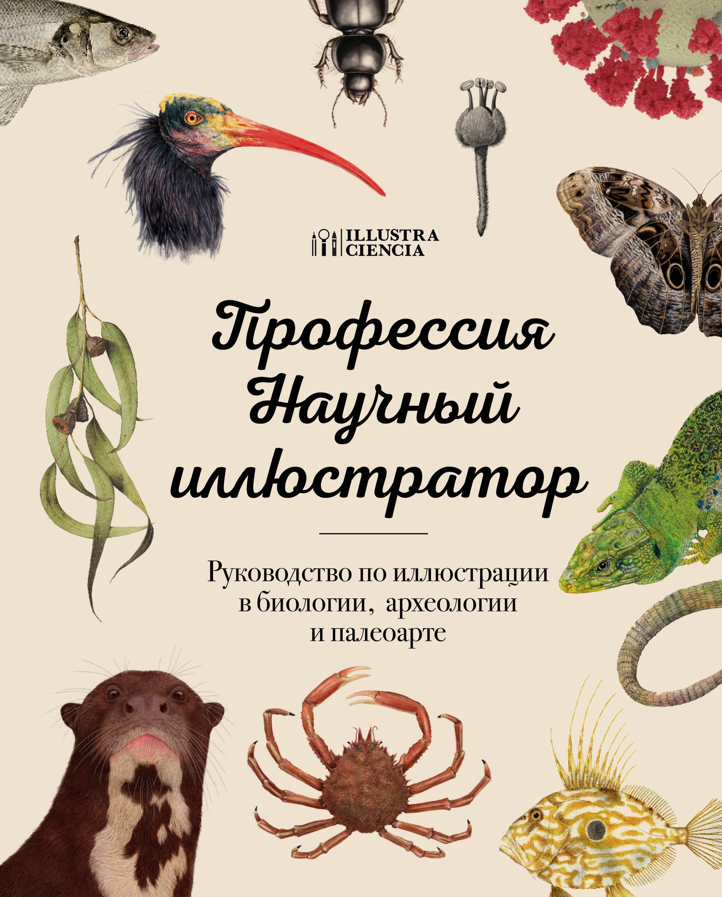 

Профессия — Научный иллюстратор. Руководство по иллюстрации в биологии, археологии и палеоарте