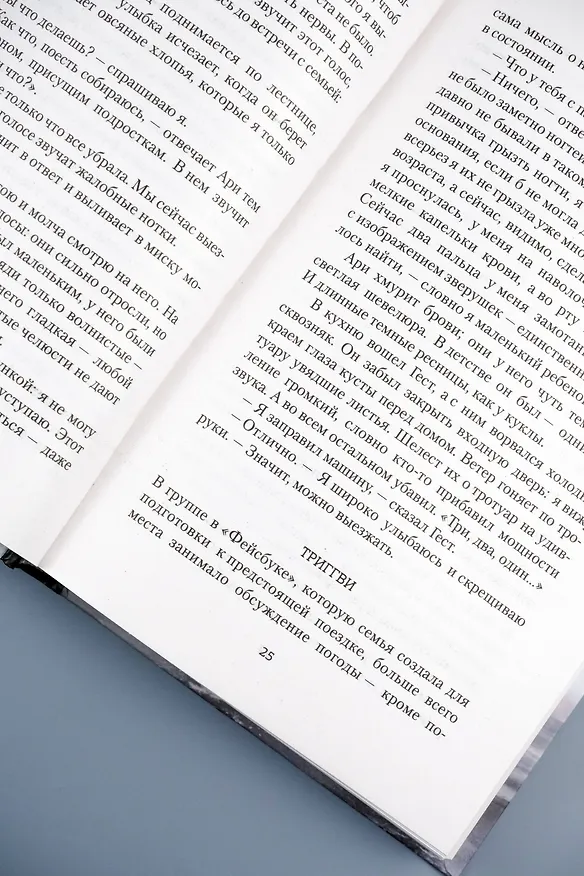 Книга Ты меня не видишь (Эва Бьёрг Айисдоттир) — 11