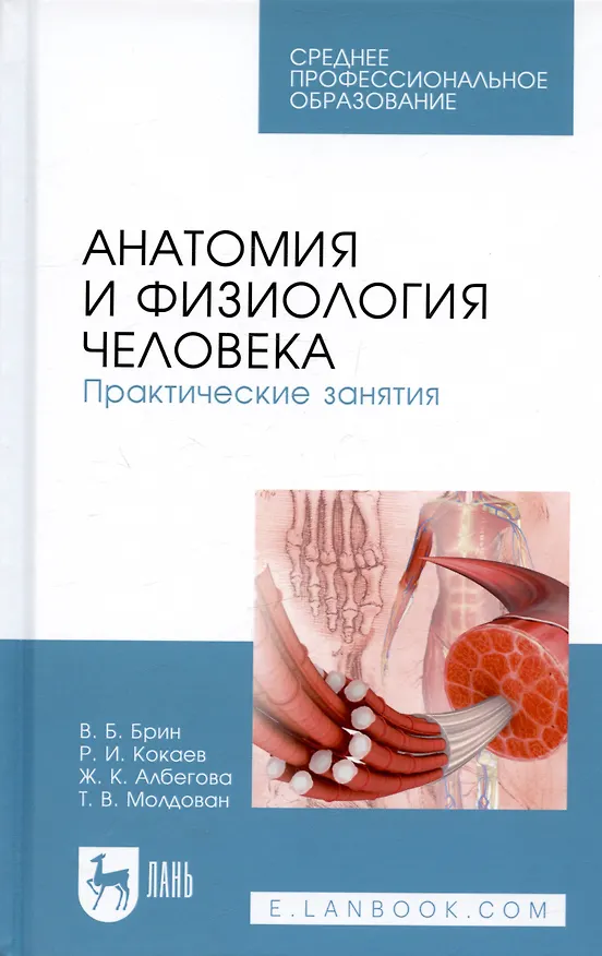 Книга Анатомия и физиология человека. Практические занятия. Учебное пособие (Вадим Брин) — 1