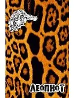 Блокнот, А6, 80л. Звероноты Леопнот клетка, на спирали