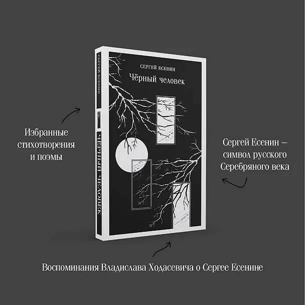 Книга Чёрный человек (Сергей Есенин) — 10