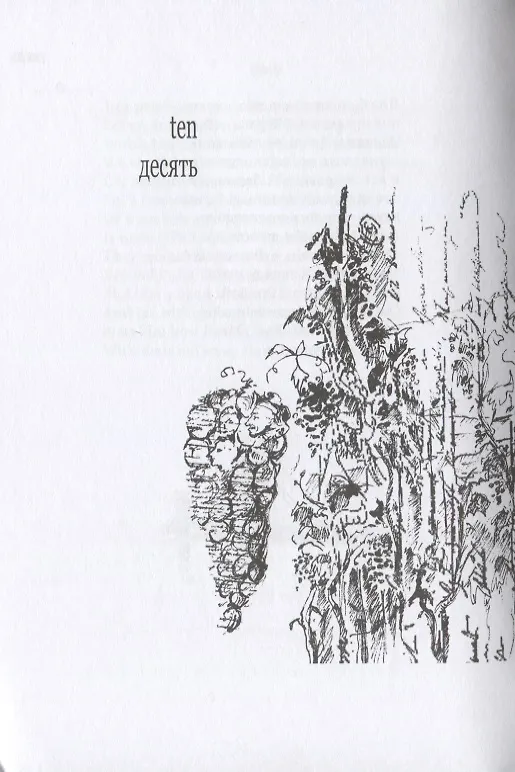 Книга Золотые ворота / Vikram Seth.The Golden Gate +с/о (на русском и англ.языках) (Викрам Сет) — 3
