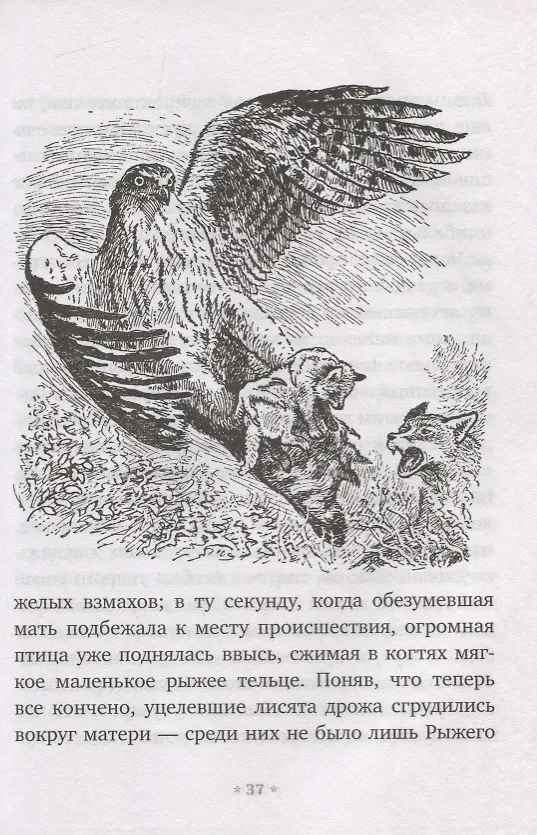 Книга Рыжий Лис (Чарлз Робертс) — 3