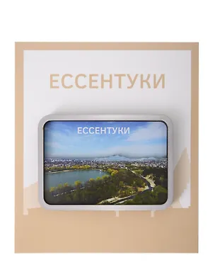 Сувенирный магнит Ессентуки озеро (дерево) (ЕЕо1) 3134473