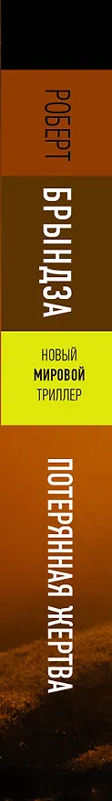 Книга Потерянная жертва (Роберт Брындза) — 3