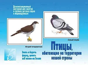Птицы, обитающие на территории нашей страны. Демонстрационный материал для занятий в группах детских садов и индивидуально