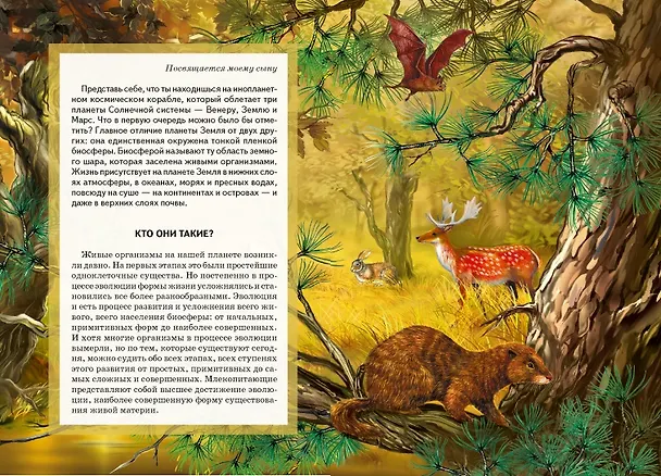 Книга Млекопитающие. Узнай мир (Юлия Дунаева) — 3