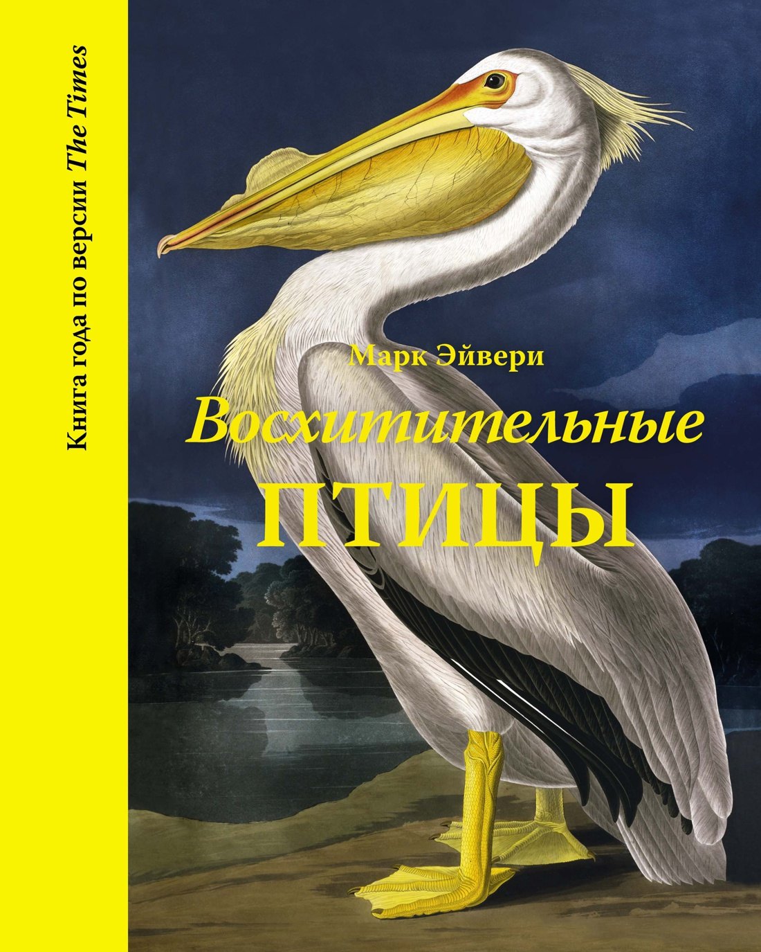 

Восхитительные птицы