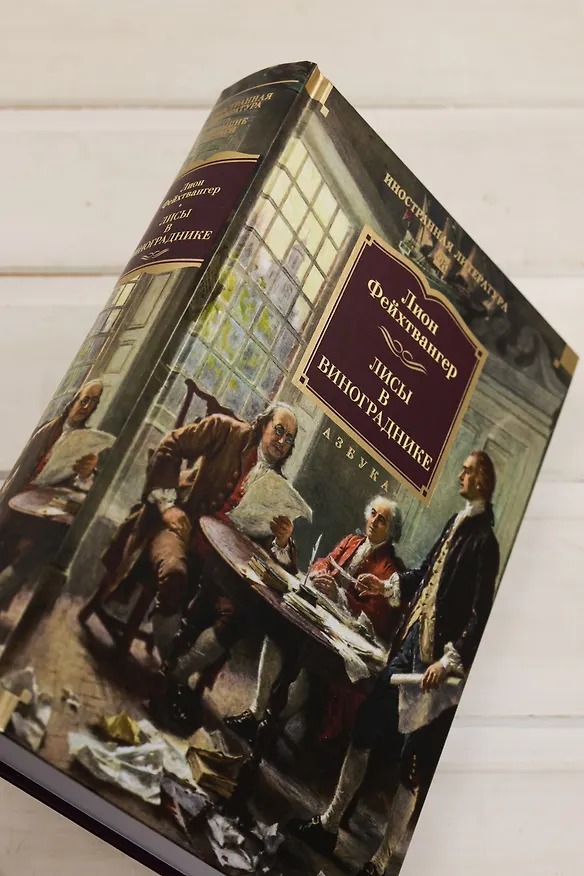 Книга Лисы в винограднике (Лион Фейхтвангер) — 13