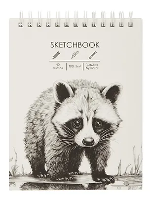 Скетчбук А6+ 40л "Енотик" 100г/м2, мат.ламинация, евроспираль, 7БЦ, офсет 3069342