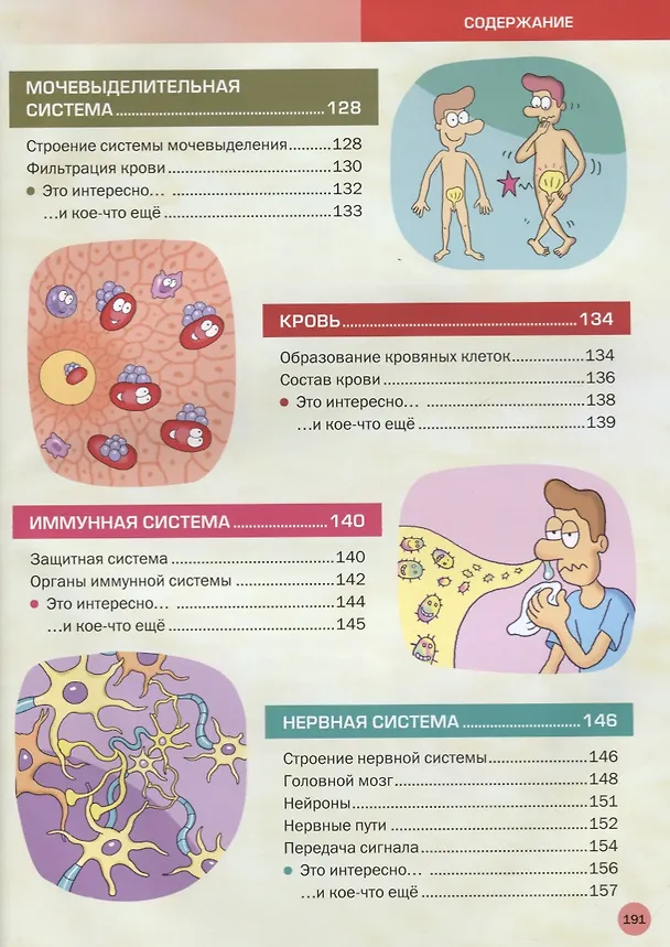 Книга Энциклопедия человека. Как устроено наше тело () — 5