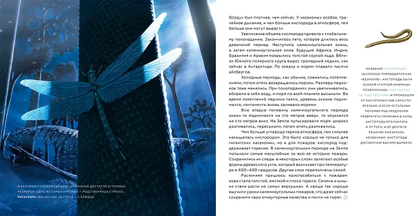 Книга История Земли: от звездной пыли к звездной пыли (Антон Нелихов) — 6