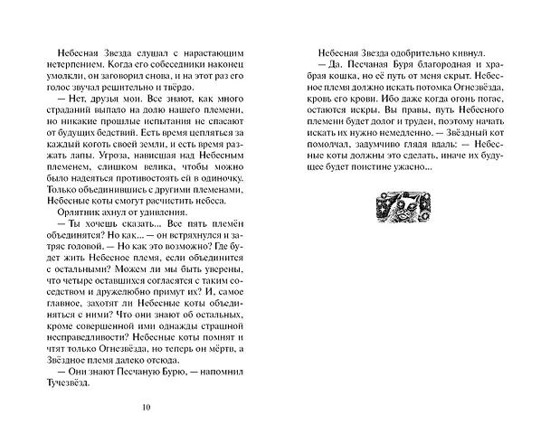 Книга Ослепление (Эрин Хантер) — 5