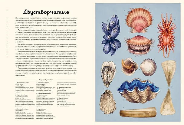 Книга Океанариум (Лавдэй Триник) — 13