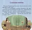 Царевны-Юные волшебницы "Принц Васко". Спецвыпуск №2, апрель-июнь 2021 — 2842420 — 3